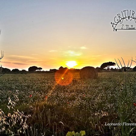 Agriturismo San Matteo Таркуїнія Екстер'єр фото