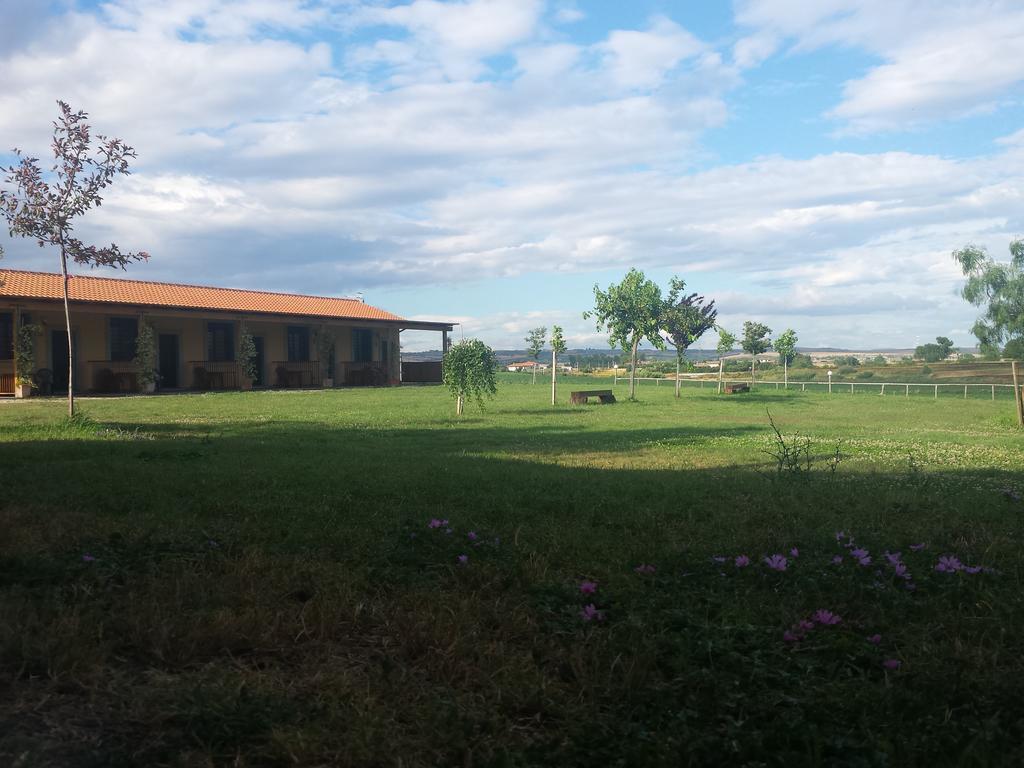 Agriturismo San Matteo Таркуїнія Номер фото