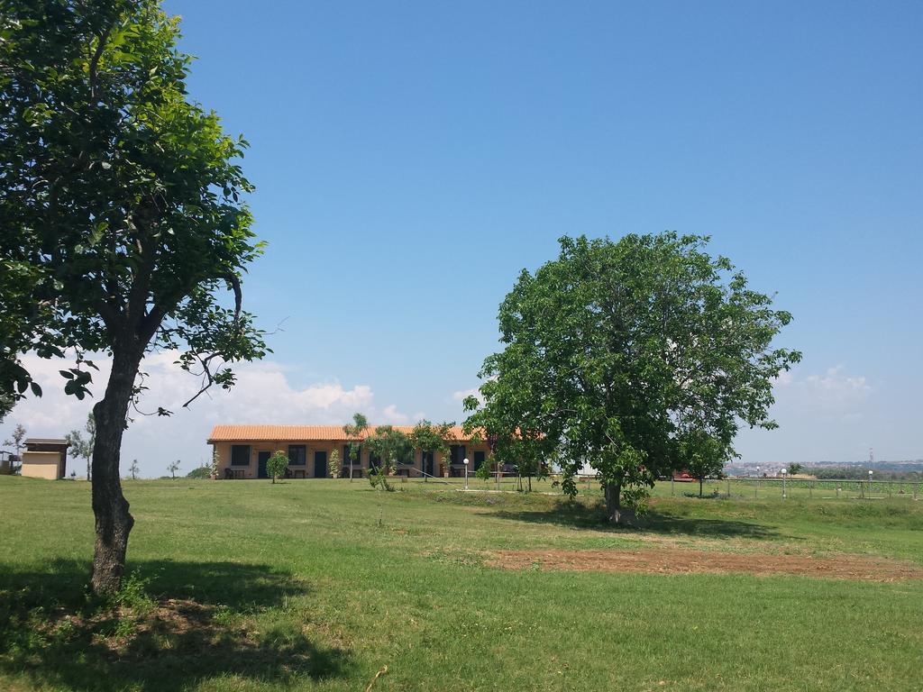 Agriturismo San Matteo Таркуїнія Номер фото