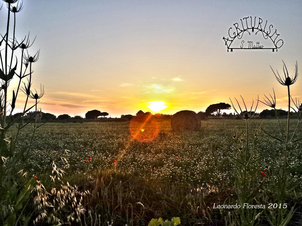 Agriturismo San Matteo Таркуїнія Екстер'єр фото