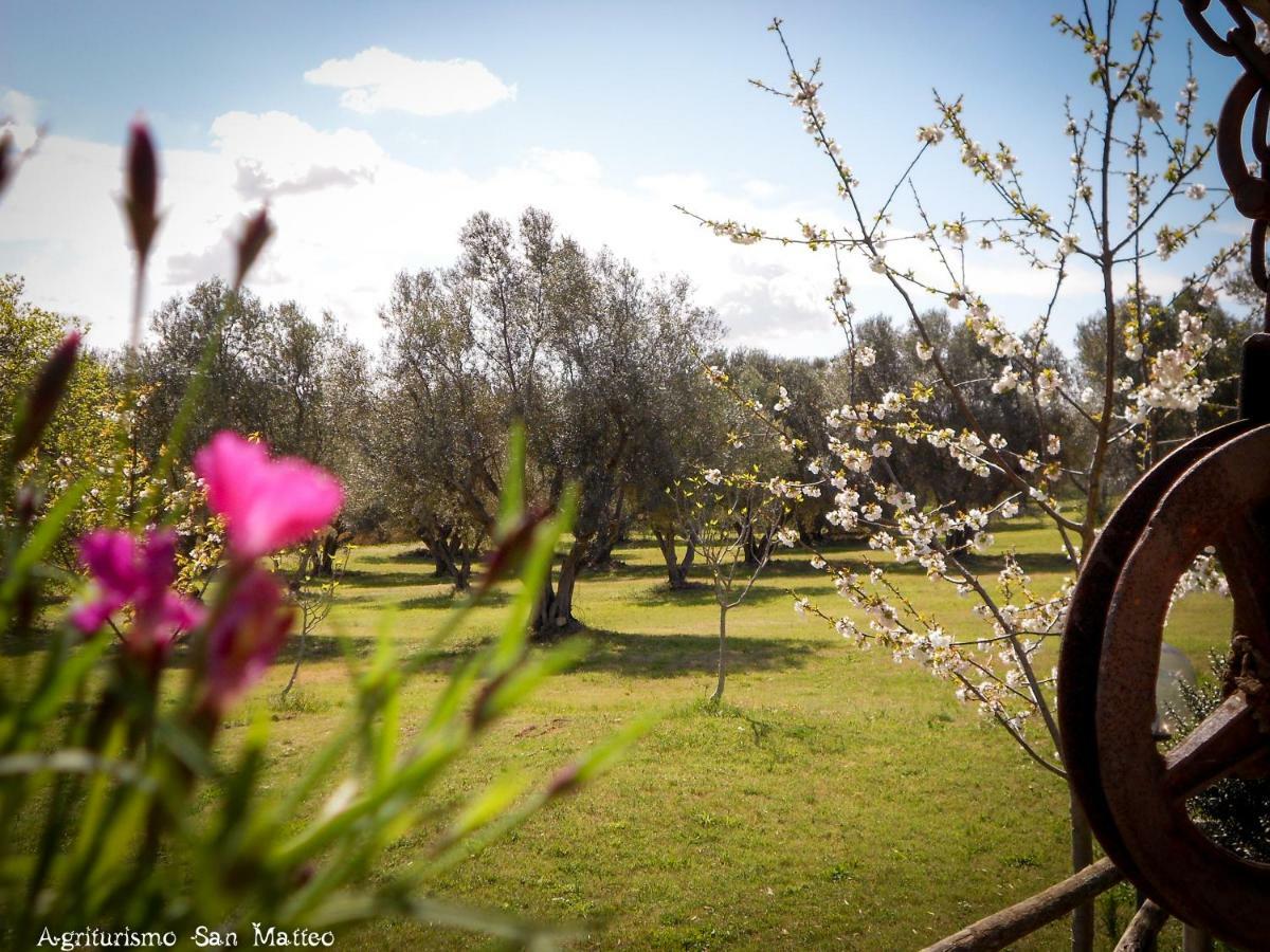 Agriturismo San Matteo Таркуїнія Екстер'єр фото