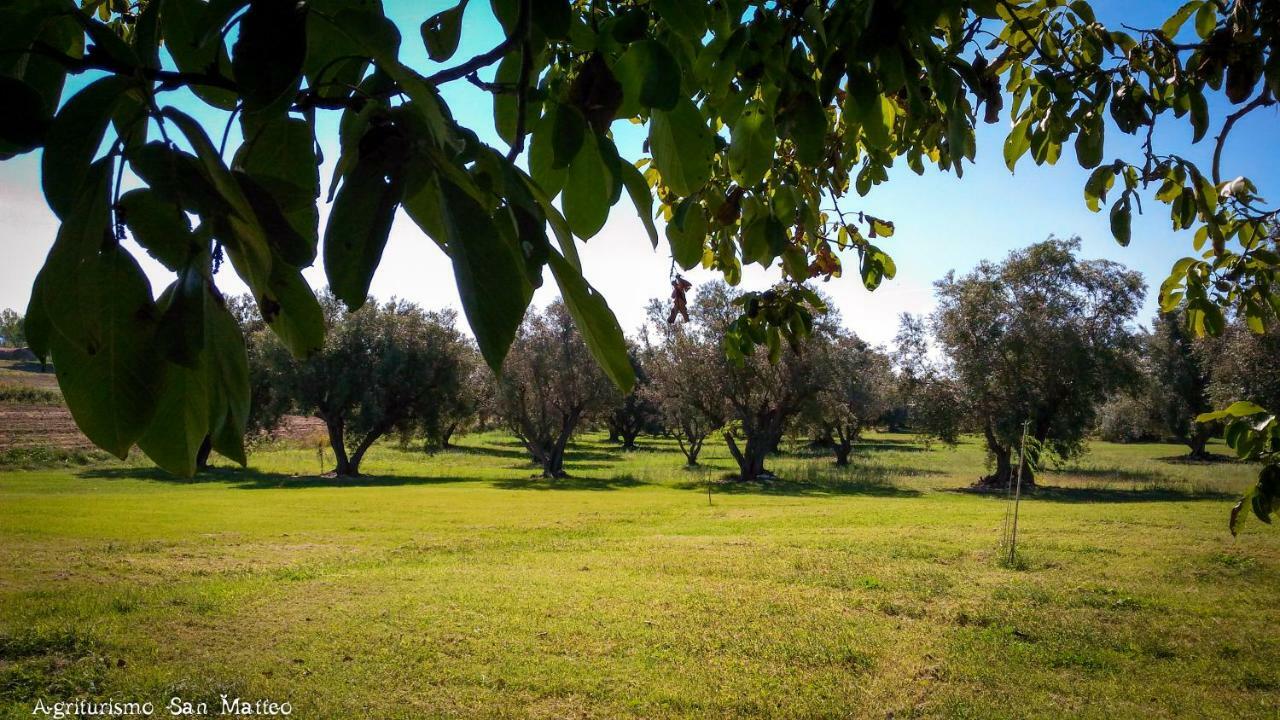 Agriturismo San Matteo Таркуїнія Екстер'єр фото