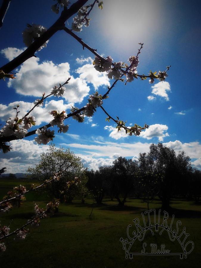Agriturismo San Matteo Таркуїнія Екстер'єр фото