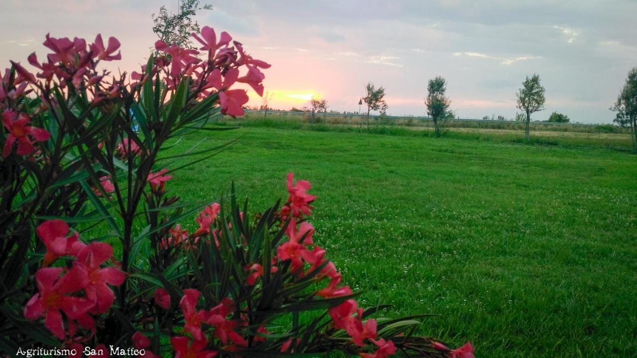 Agriturismo San Matteo Таркуїнія Екстер'єр фото